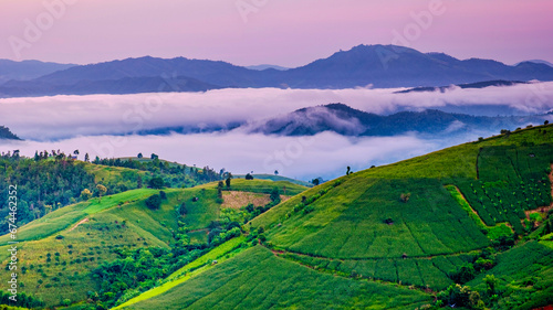 Beautiful sunset with green Terraced Rice Field in Chiangmai, Thailand, Pa Pong Piang rice terraces, green rice paddy fields during rain season
