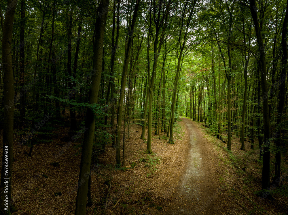 Aerial view of a dirt road through the woods on a cloudy day, Nekarzimmern, Baden Wuerttemberg, Germany.