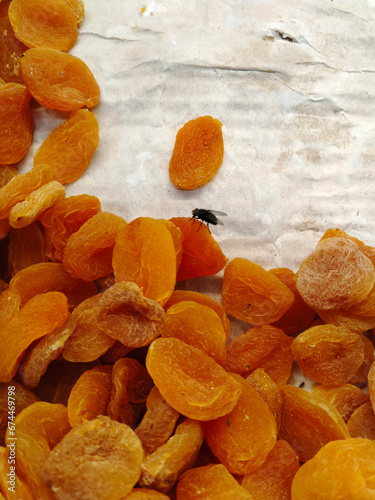 Flyinsect sits on dirty dried apricots in dirty local market. Infection in supermarket. Unhealthy food with contagion in grocery store. Cleaning unsanitary conditions concept. Hygiene Disinfection.