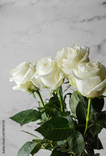 white roses with droplets on a light background