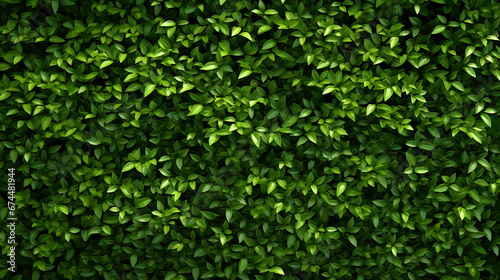 Green structure wall with leaves shadows. Background