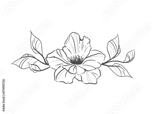 a flower with leaves. Outline  coloring book. Vector illustration. Black and white.