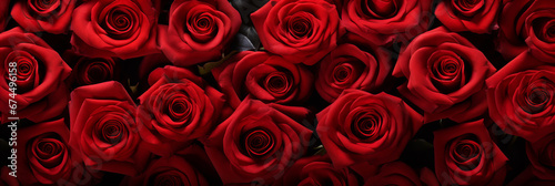red roses clouse up background for Valentine s Day banner