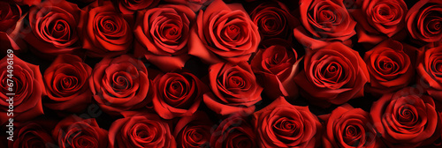 red roses clouse up background for Valentine's Day banner
