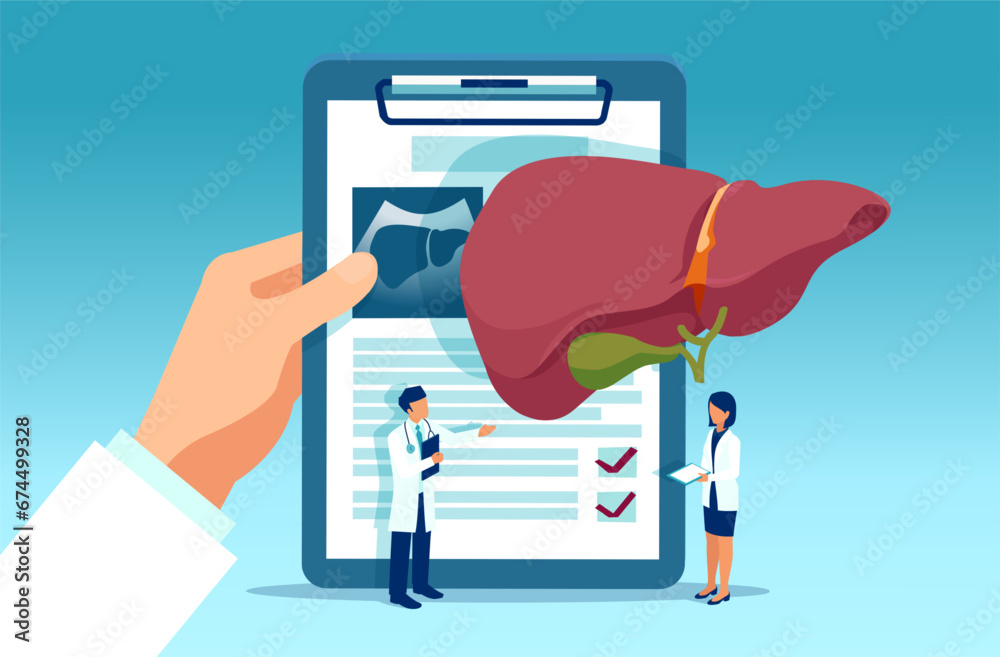 Liver disease and pathology lab exam concept. Vector of a male doctor reviews medical tests result Liver disease and pathology lab exam concept. Vector of a male doctor reviews medical tests result