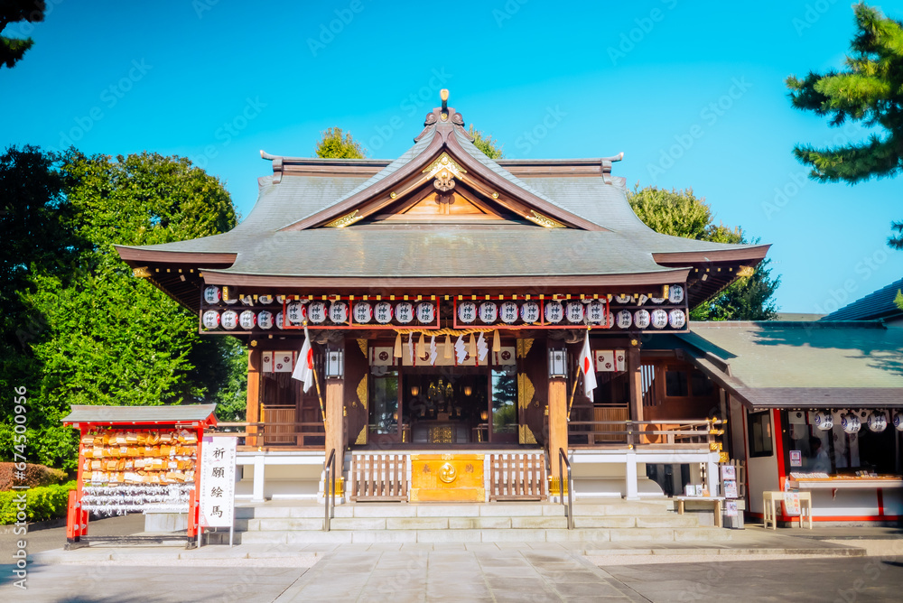 Fototapeta premium 【東京】氷川神社 七五三撮影