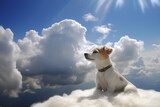 Dog's spirit missing for its owner at heavens. Afterlife pet concept
