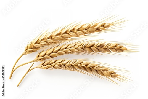 Generative AI : Ear of wheat isolated on transparent or white background