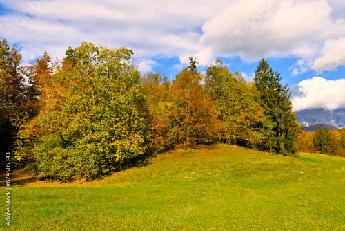 Trees in autumn colors bordering a meadow and clouds in the sky