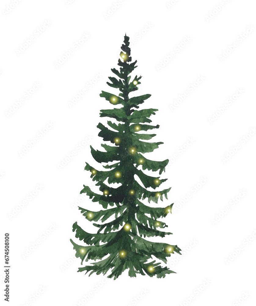 Hand drawn Christmas tree, watercolor