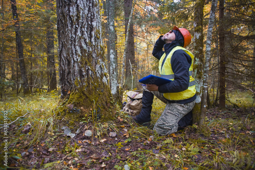 Forest engineer works in the forest. A forest worker carries out taxation of forest plantations. Forest engineer works in the forest. A forest worker carries out taxation of forest plantations.