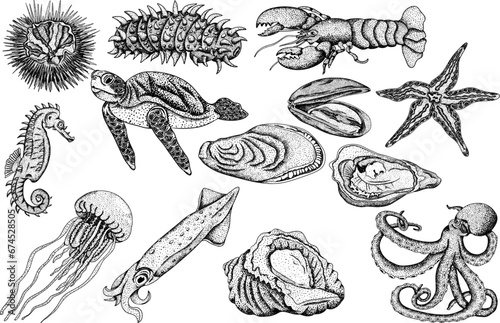 Hand drawn set with underwater creatures. Vector sea life, seafood in engraving style