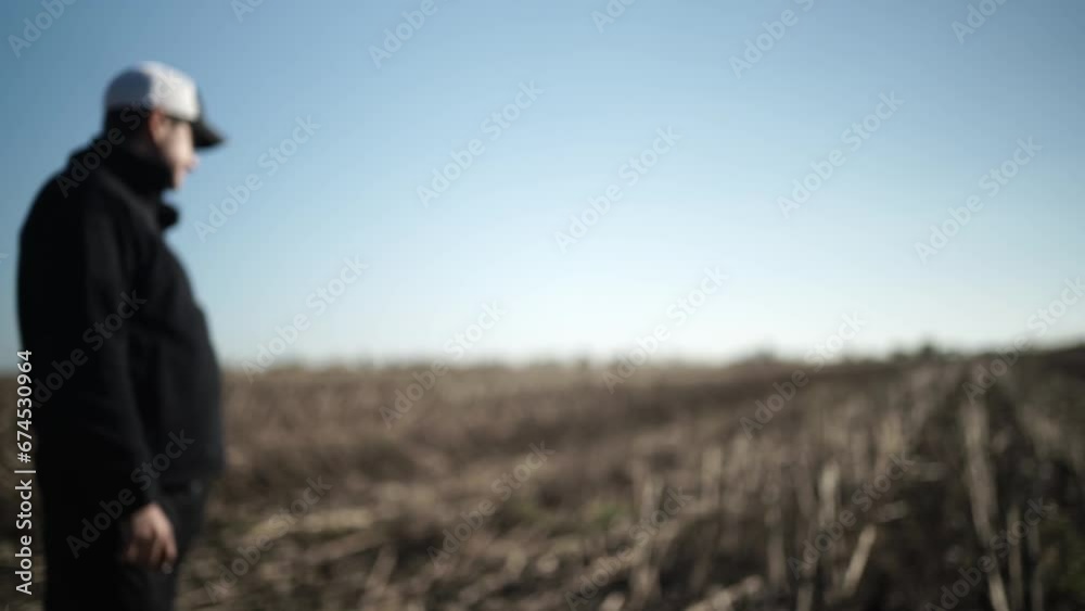 Farmer on the field inspecting sunflower and soil Farmer on the field inspecting sunflower and soil