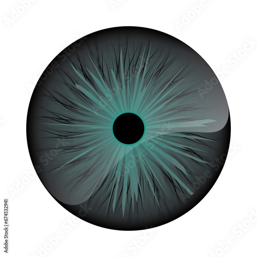 Abstract eye illustration. Iris decorative image. Circle vector line sketch.Blue eye iris pupil vector illustration isolated.Human eye graphic