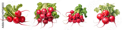 Radish Hyperrealistic Highly Detailed Isolated On Transparent Background Png File