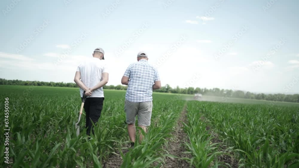 Farmers inspecting the corn field Farmers inspecting the corn field