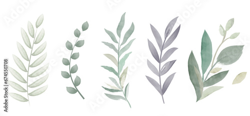 Vector watercolor illustrations. Set of Green leaves  herbs and branches. Floral Design elements.