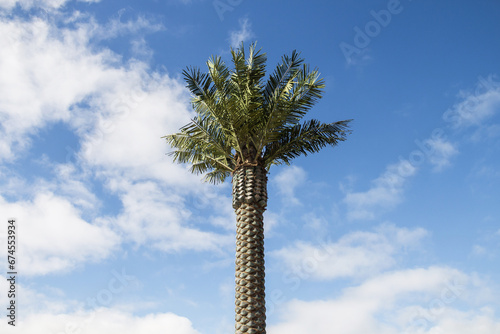 Artificial palm tree on the embankment in the city of Aktau