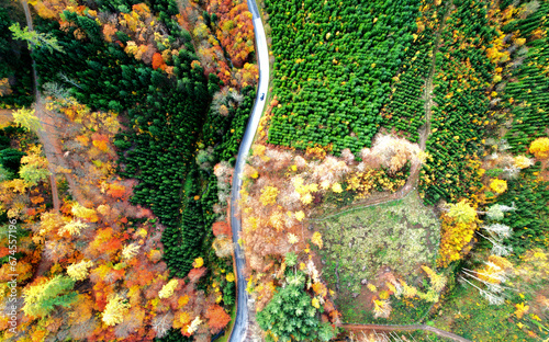 Autumn landscape birds eye view from aerial view
