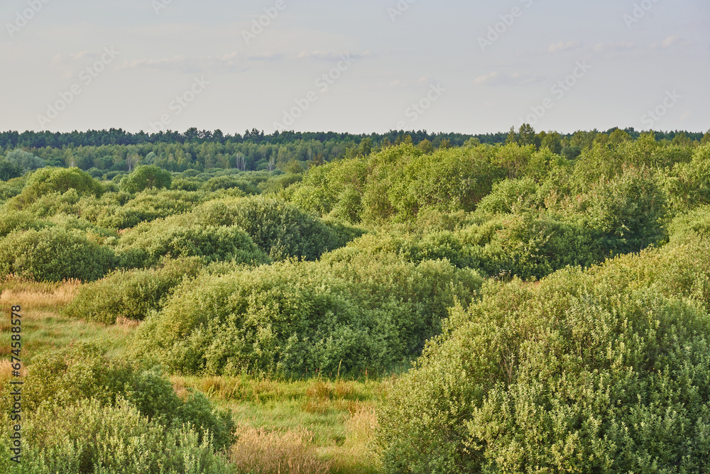 beautiful landscapes of Ukraine