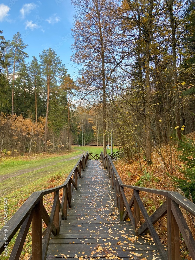 Obraz premium wooden bridge in the woods