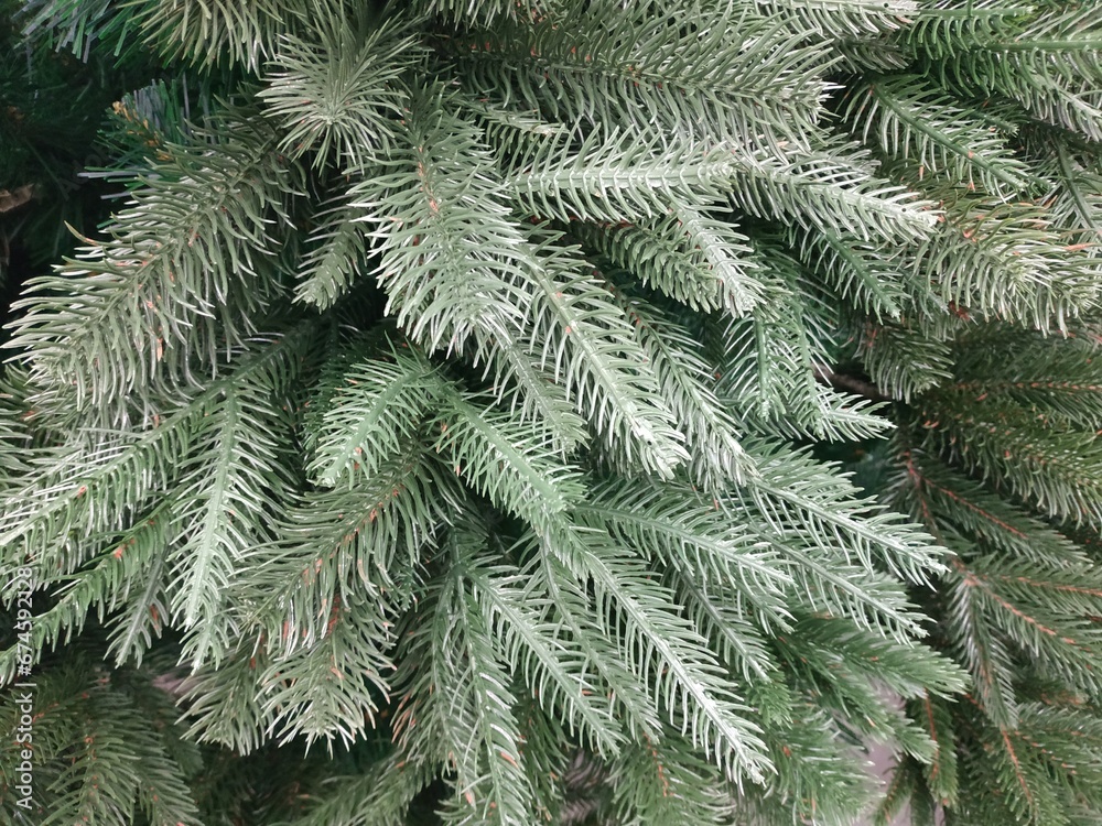 Artificial, diverse Christmas pine tree, snow, background.