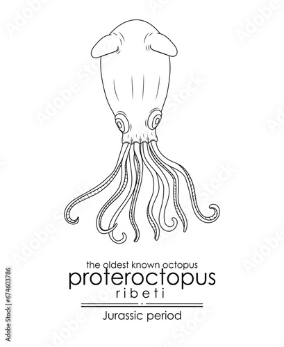 The oldest known octopus Proteroctopus ribeti from Jurassic period. Black and white line art, perfect for coloring and educational purposes.