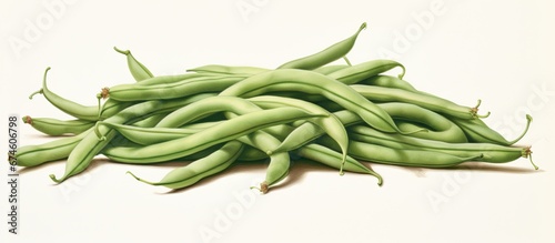 In French agriculture the vibrant green bean is celebrated not only as a nutritious veggie but also as a muse for watercolor illustrations capturing its texture and vibrant hue against a whi photo