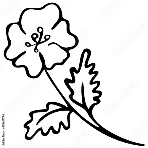 Hand drawn doodle poppy. Black sketch isolated on white background