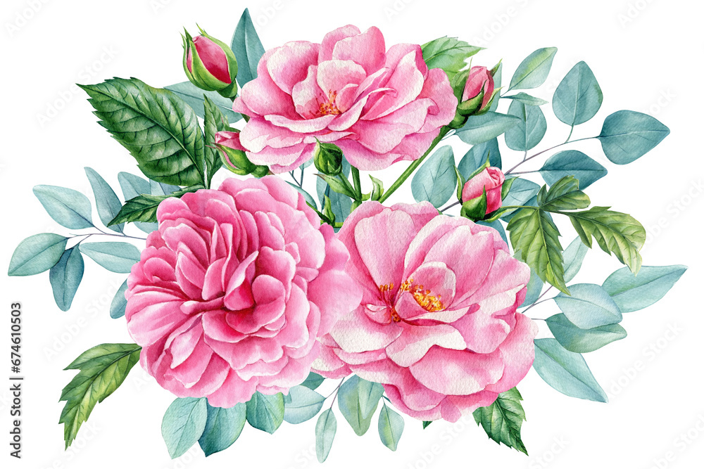 Bouquet of pink flowers roses, eucalyptus, leaves of elegant greenery, Watercolor botanical illustration. Floral design