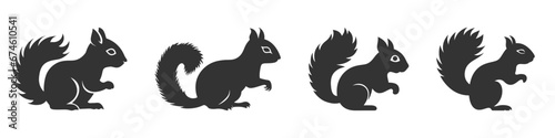 Squirrel silhouette set. Vector illustration photo