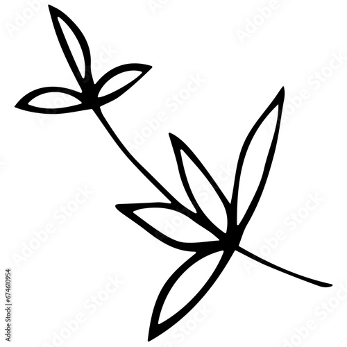 Hand drawn doodle tropical leaf. Black sketch isolated on white background