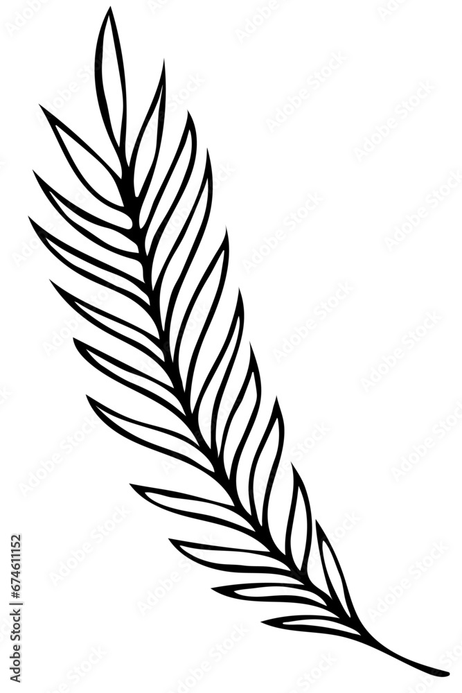 Hand drawn doodle tropical leaf. Black sketch isolated on white background