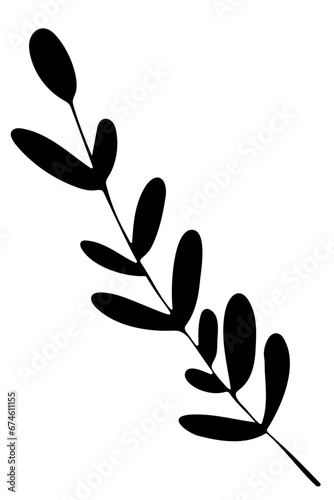 Hand drawn doodle tropical leaf. Black sketch isolated on white background