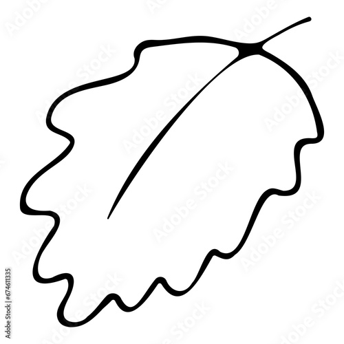 Hand drawn doodle tropical leaf. Black sketch isolated on white background