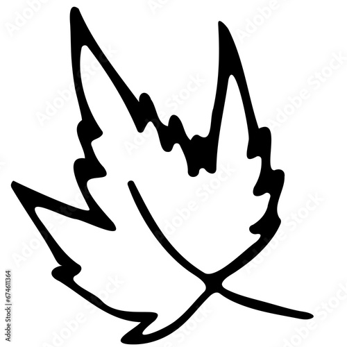 Hand drawn doodle tropical leaf. Black sketch isolated on white background
