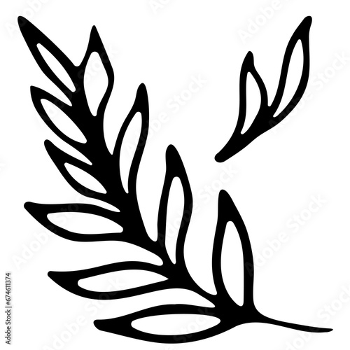 Hand drawn doodle tropical leaf. Black sketch isolated on white background