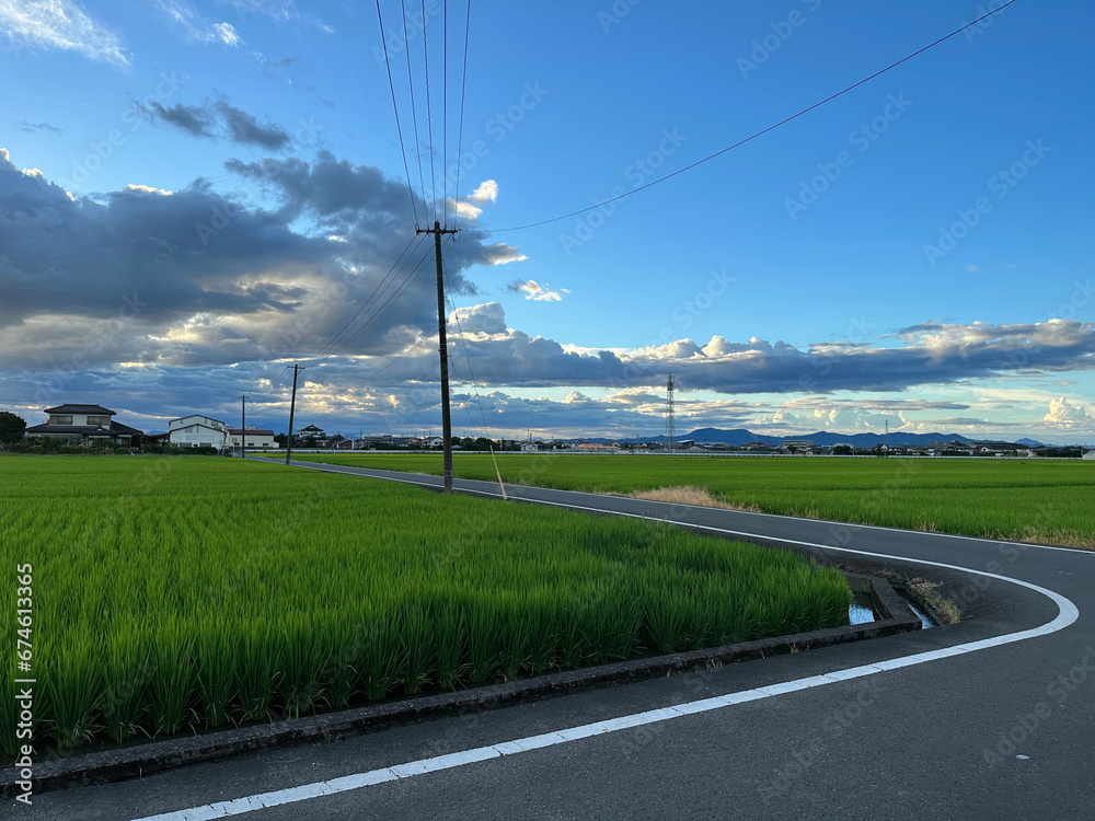 Fototapeta premium 日本の田園風景。夕暮れ時に見る田舎の景色。
