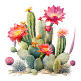 a watercolor painting done with various cactus plants