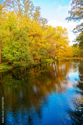 Sunny autumn mood at a small creek in Berlin  Germany.
