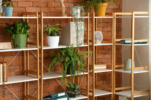 Shelves with plants and fol...