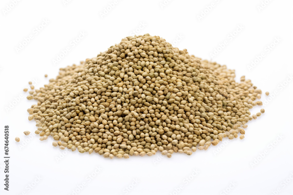 seeds, isolated, white, background, agriculture, organic, planting, growth, harvest, macro seeds, isolated, white, background, agriculture, organic, planting, growth, harvest, macro