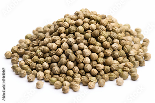 seeds, isolated, white, background, agriculture, organic, planting, growth, harvest, macro