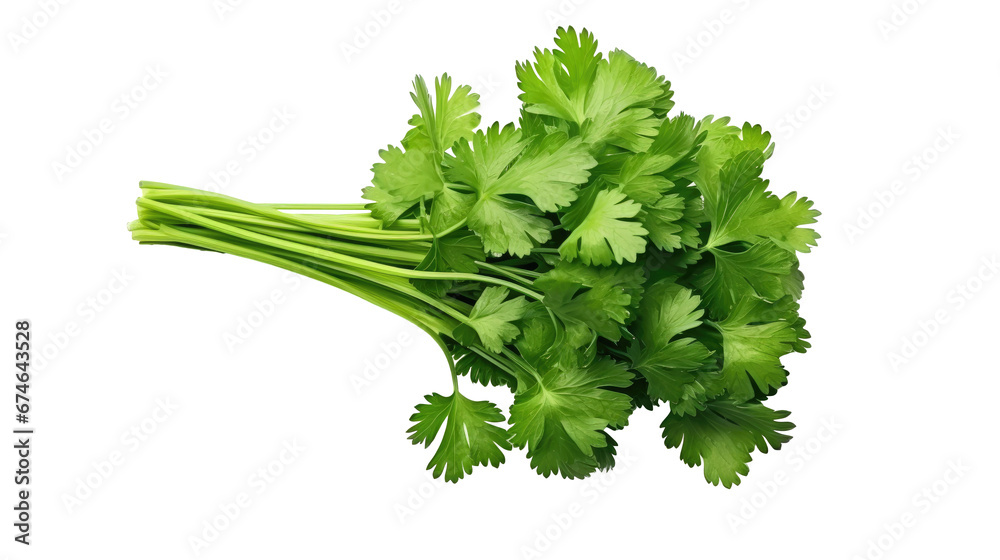 Fresh raw organic coriander on white isolated on clear png background and transparent background. Vegetable and food concept for health, AI generative. Fresh raw organic coriander on white isolated on clear png background and transparent background. Vegetable and food concept for health, AI generative.