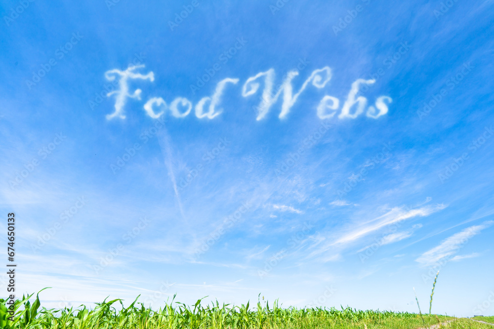 Food Webs Complex Interconnections Of Food Chains That Illustrate food-webs-complex-interconnections-of-food-chains-that-illustrate