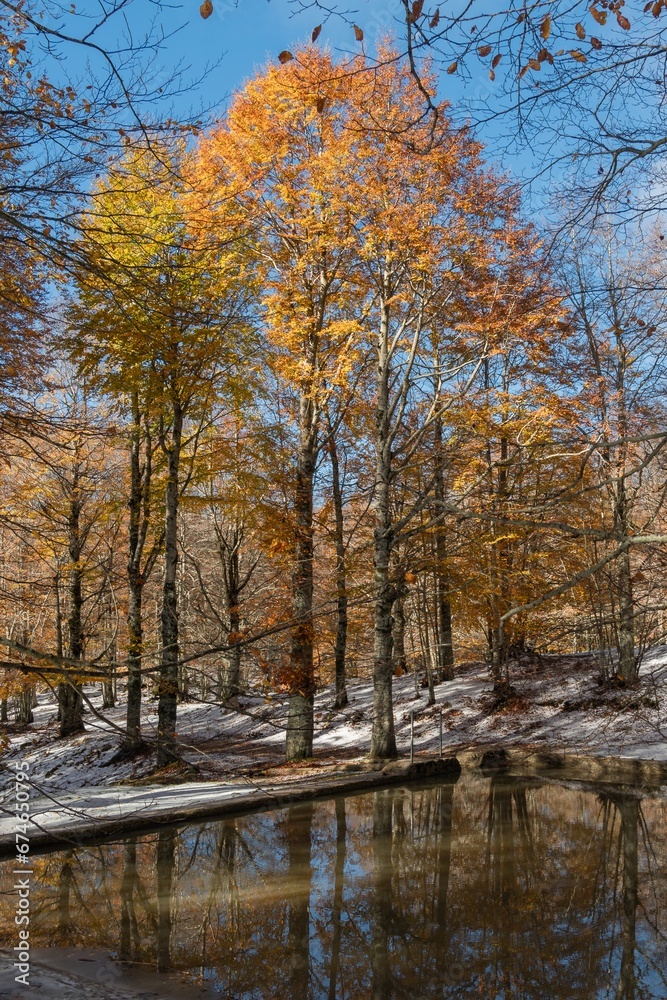 Monte Livata - Campo dell'Osso - Suibiaco - Roma - Lazio. Parco Regionale dei Monti Simbruini Monte Livata - Campo dell'Osso - Suibiaco - Roma - Lazio. Parco Regionale dei Monti Simbruini