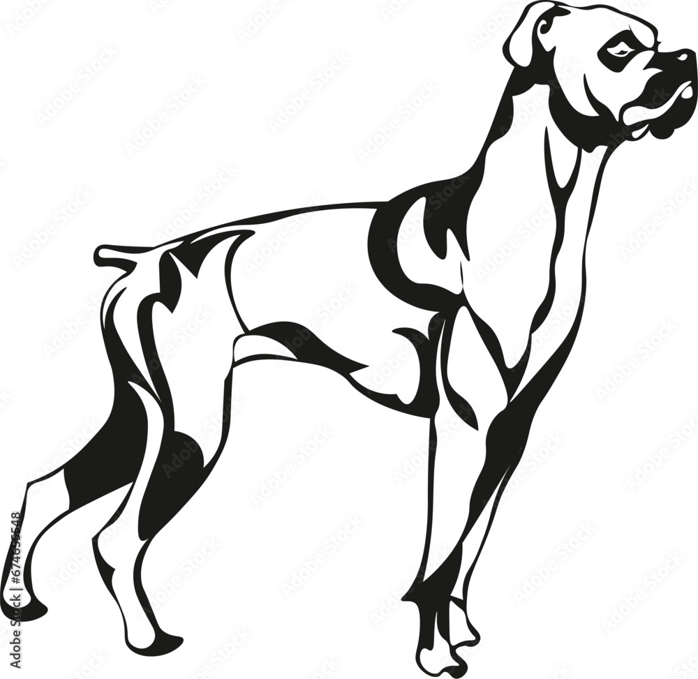 Obraz premium Cartoon Black and White Isolated Illustration Vector Of A Boxer Bull Mastiff Dog Standing
