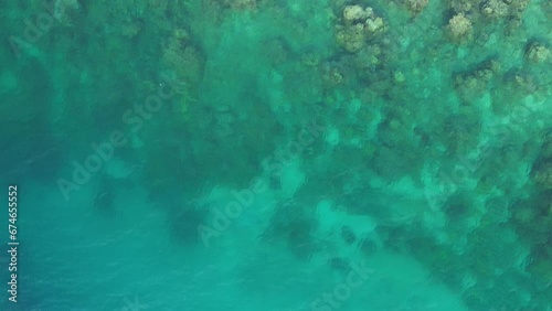 Wallpaper Mural Aerial view of People bathing in the sun, swimming, and playing games on the beach. Top view from drone at beach and azure sea Torontodigital.ca