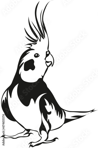 Cartoon Black and White Isolated Illustration Vector Of A Cockatiel Bird Walking