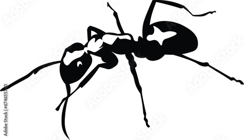 Cartoon Black and White Isolated Illustration Vector Of An Ant Walking